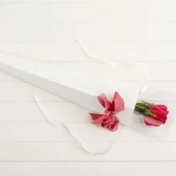 Acetate Premium Flat Pack Rose Cone White (7x65cmH) Pack 6