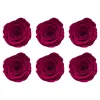 Amore Forever Rose Heads Pack 6 Hot Pink (5-6cmD)