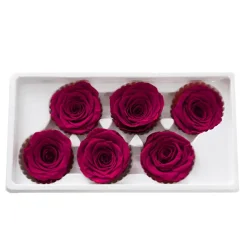 Amore Forever Rose Heads Pack 6 Hot Pink (5-6cmD)