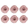 Amore Forever Rose Heads Pack 6 Dusty Pink (5-6cmD)