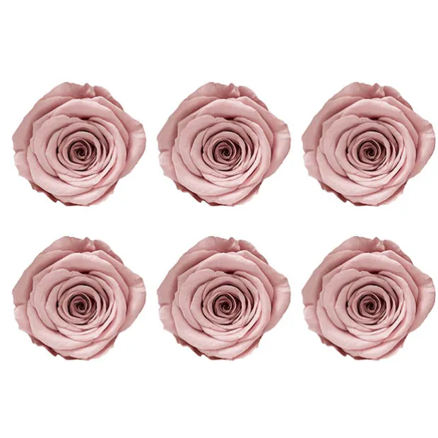 Amore Forever Rose Heads Pack 6 Dusty Pink (5-6cmD)