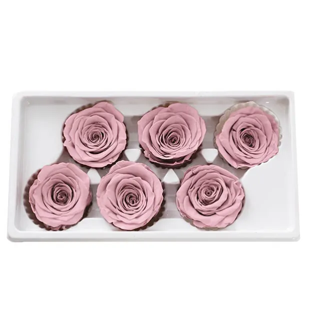 Amore Forever Rose Heads Pack 6 Dusty Pink (5-6cmD)