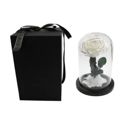 Amore Forever Rose Single Stem Cloche White (12Dx20cmH)