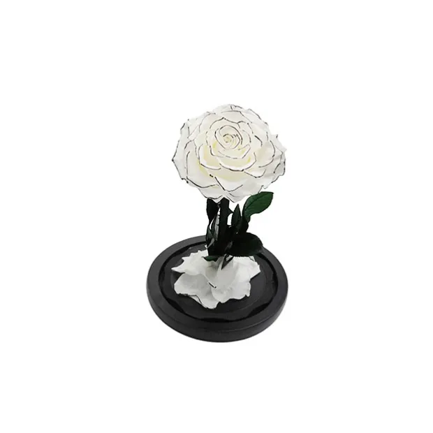 Amore Forever Rose Single Stem Cloche White (12Dx20cmH)