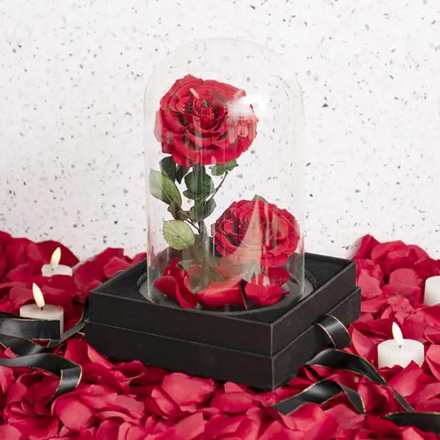 Amore Forever Rose x2 Stem Cloche Red (17Dx26cmH)