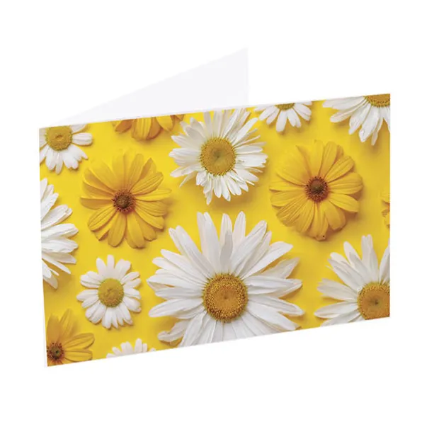 Artisan Gift Card & Envelope Daisy Daze Pk25 (10x6.5cmH)