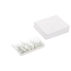 Artisan Gift Card & Envelope Dandelions Pk25 (10x6.5cmH)