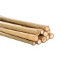 Bamboo Sticks 6-8mm Pack 12 (60cm) Natural Dried