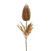Banksia Stem Metallic Gold (70cmH)