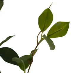 Banyan Leaf Spray Green (84cmH)