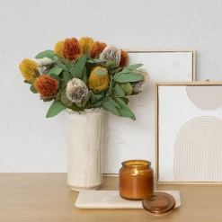 Baxteri Banksia Stem Grey (6cmDx59cmH)