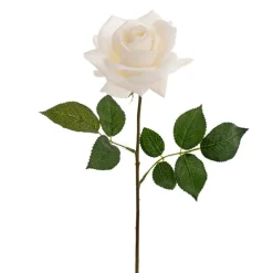 Bella Real Touch Rose Full Bloom Lge White (12cmDx65cmH)