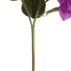 Bougainvillea Spray Purple (70cmH)