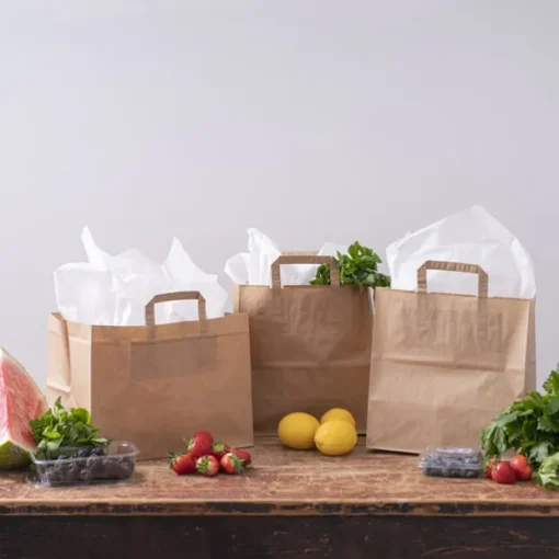 Brown Kraft Take Away Paper Bag Pk10 (280Wx170Gx290mmH)