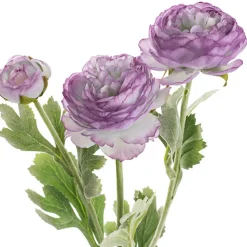 Buttercup Ranunculus Spray x3 Soft Purple (52cmH)