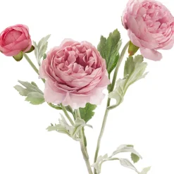 Buttercup Ranunculus Spray x3 Blush Pink (52cmH)