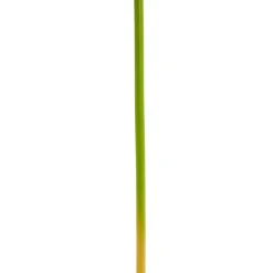 Calla Lily Open Bloom Stem Real Touch White (70cmST)