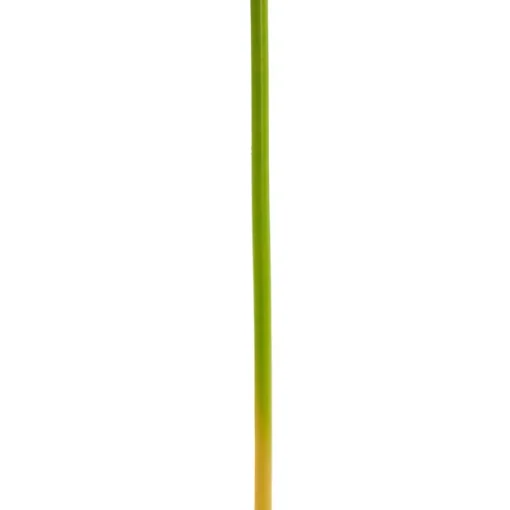 Calla Lily Open Bloom Stem Real Touch White (70cmST)