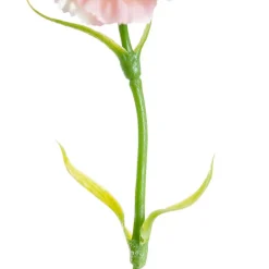 Carnation Ruffle Stem Cream Pink (9cmDx42cmH)