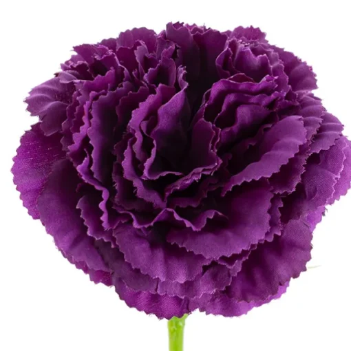 Carnation Ruffle Stem Dark Purple (9cmDx42cmH)