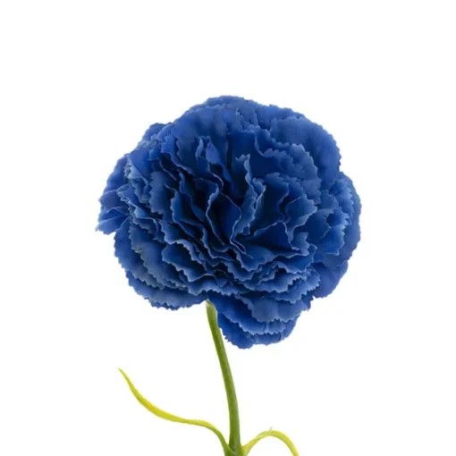 Carnation Ruffle Stem Deep Blue (9cmDx42cmH)