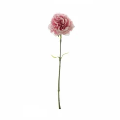 Carnation Ruffle Stem Light Pink (9cmDx42cmH)