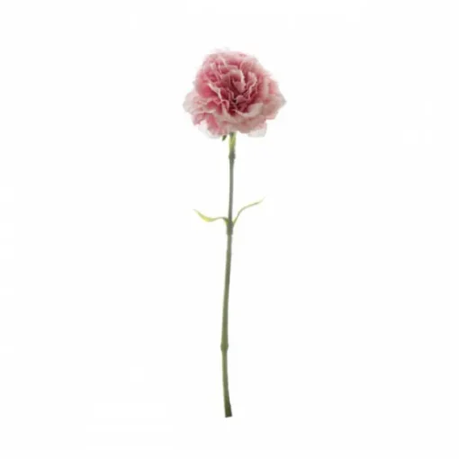 Carnation Ruffle Stem Light Pink (9cmDx42cmH)