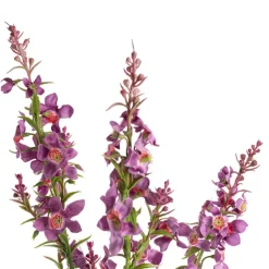 Catmint Spray Violet (75cmH)