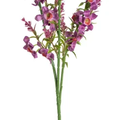 Catmint Spray Violet (75cmH)