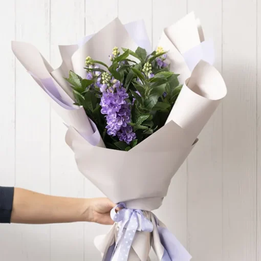 Cello Regal Pro 65mic Lilac Grey (50x70cm) Pack 100