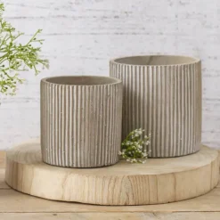 Cement Amelia Cylinder Pot Grey (12Dx12cmH)