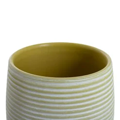 Ceramic Belly Ribbed Rnd Pot Asparagus Green (15.5x15.5cmH)