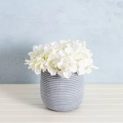 Ceramic Belly Ribbed Round Pot Dark Grey (15.5x15.5cmH)