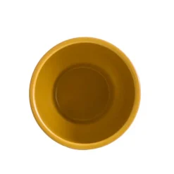 Ceramic Buffalo Pot Planter Matte Mango Mojito 15.5cmx14cm