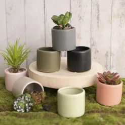 Ceramic Cylinder Pot Mini Satin Matte Charcoal (8x7cmH)