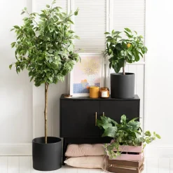 Ceramic Cylinder Pot Satin Matte Black (25Dx24cmH)