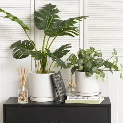 Ceramic Loreto Plant Pot & Plate Matte White (18Dx18.5cmH)