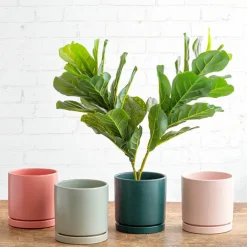 Ceramic Loreto Plant Pot & Plate Sea Foam (18Dx18.5cmH)