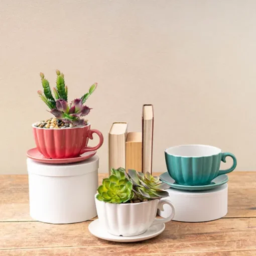 Ceramic Tea Cup Pot Saucer Drainage Hole White (15TDx10cmH)