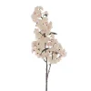 Cherry Blossom Branch Spray White (103cmH)
