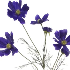 Cosmos Spray Cobalt Blue (62cmH)