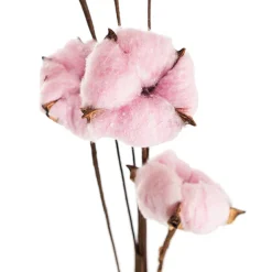 Cotton Branch 6 Heads Pale Pink (Head Size 5cm x 85cmH)