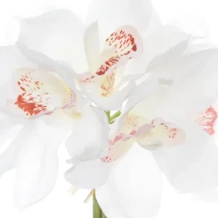 Cymbidium Orchid Bouquet Real Touch 6 Flowers White (25cmH)