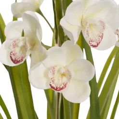 Cymbidium Orchid Real Touch 3Stem Potted Lemon White (81cmH)