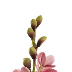 Cymbidium Orchid Real Touch 3 Stem Potted Pink (81cmH)
