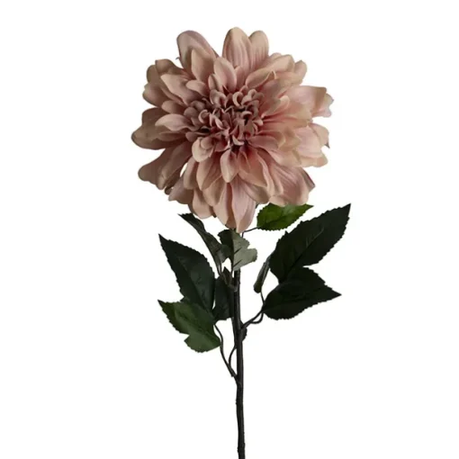 Dahlia Long Stem w Lge Flower Head Blush Pink (19cmDx80cmH)