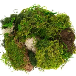 Delaware Moss Mix Preserved Bag Moss Assorted (55gm Bag)