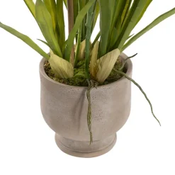 Dendrobium Orchid Real Touch 3 Stem Potted Magenta (61cmH)