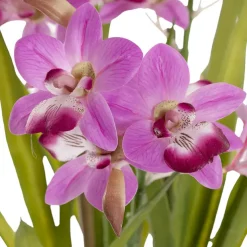 Dendrobium Orchid Real Touch 3 Stem Potted Magenta (61cmH)