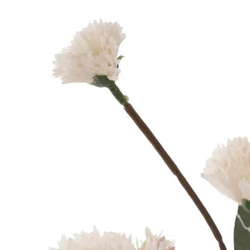 Dianthus Flower Spray Ivory (75cmH)